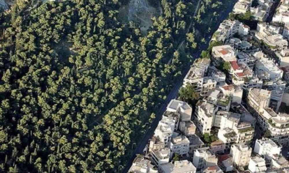 Απόφαση-«βόμβα» από το ΣτΕ για τους δασικούς χάρτες